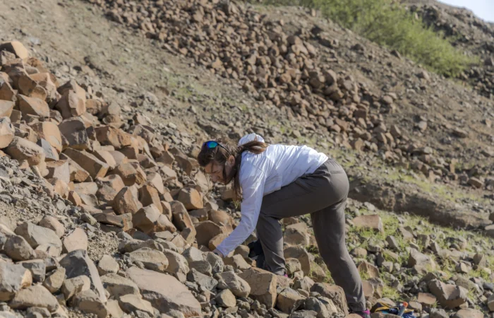 Morocco Fossils and Minerals Tours Agency