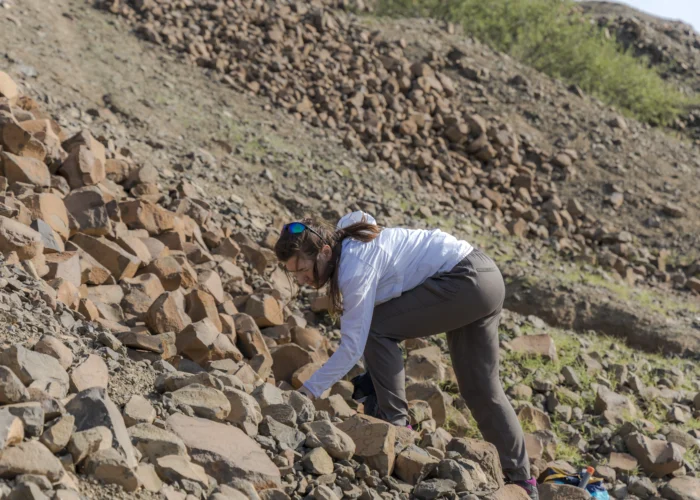 Morocco Fossils and Minerals Tours Agency