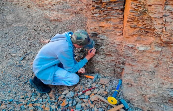 Morocco fossil hunting tours