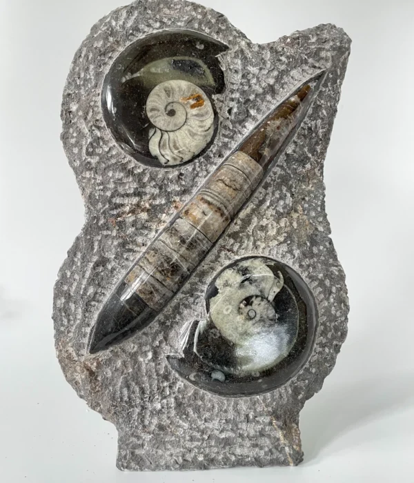 Anti-Atlas minerals Morocco”, “minerals of Anti-Atlas