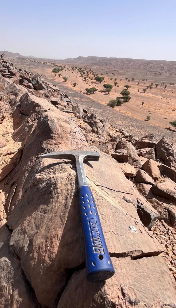 Morocco Fossil Hunting Tours Morocco Fossil Hunting Tours